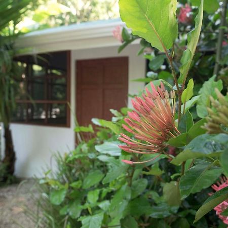 Jungle'S Edge Hotel Nosara ภายนอก รูปภาพ