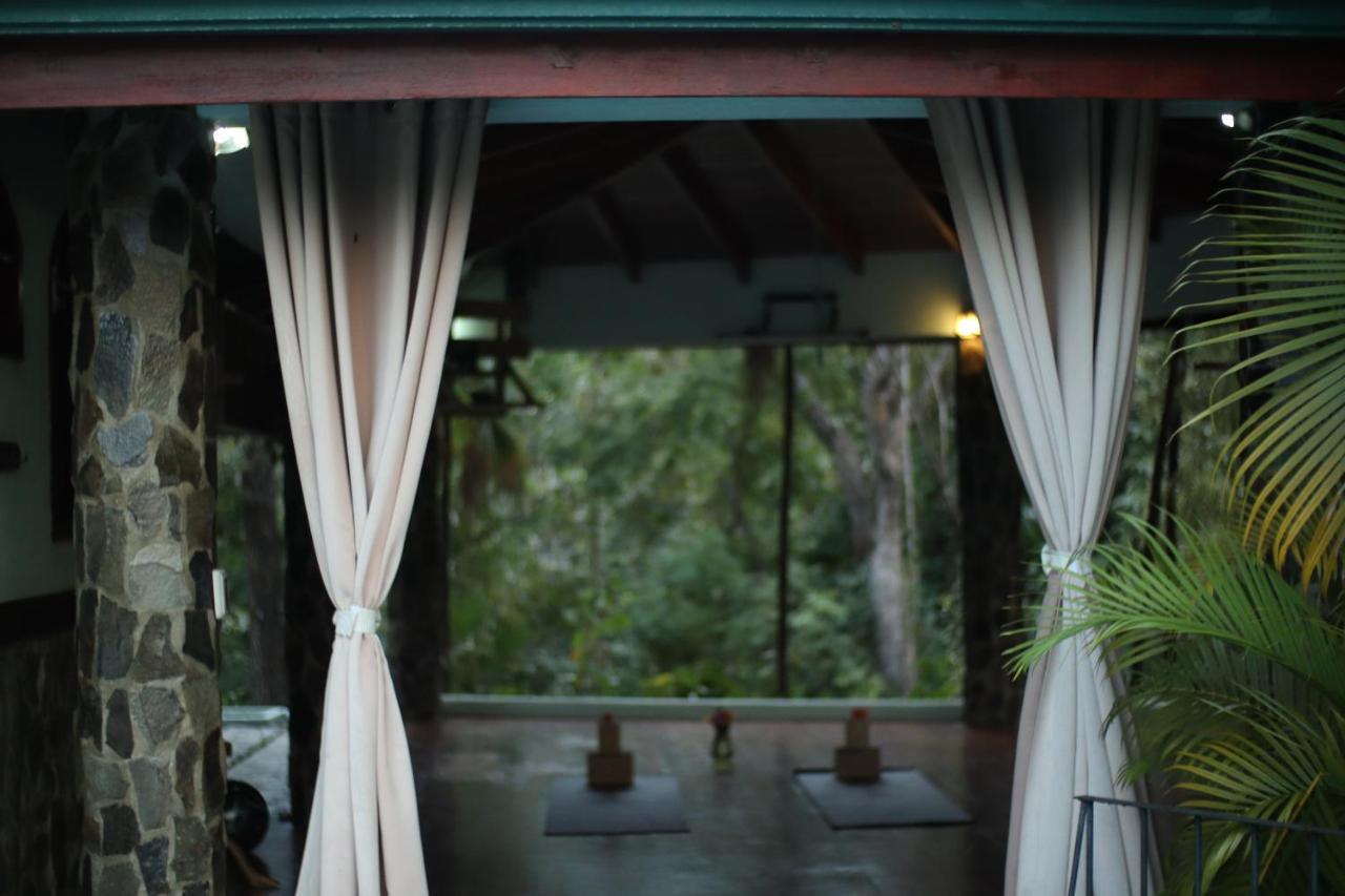 Jungle'S Edge Hotel Nosara ภายนอก รูปภาพ