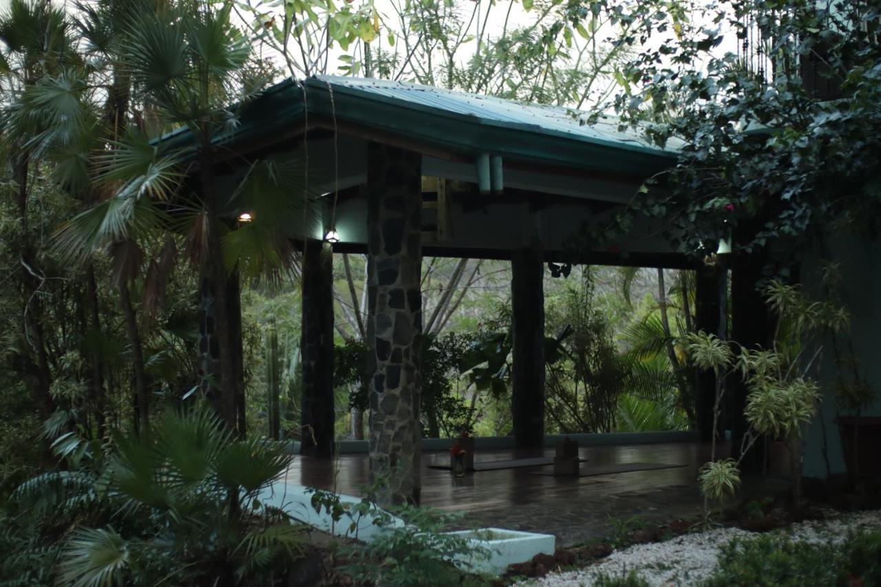 Jungle'S Edge Hotel Nosara ภายนอก รูปภาพ