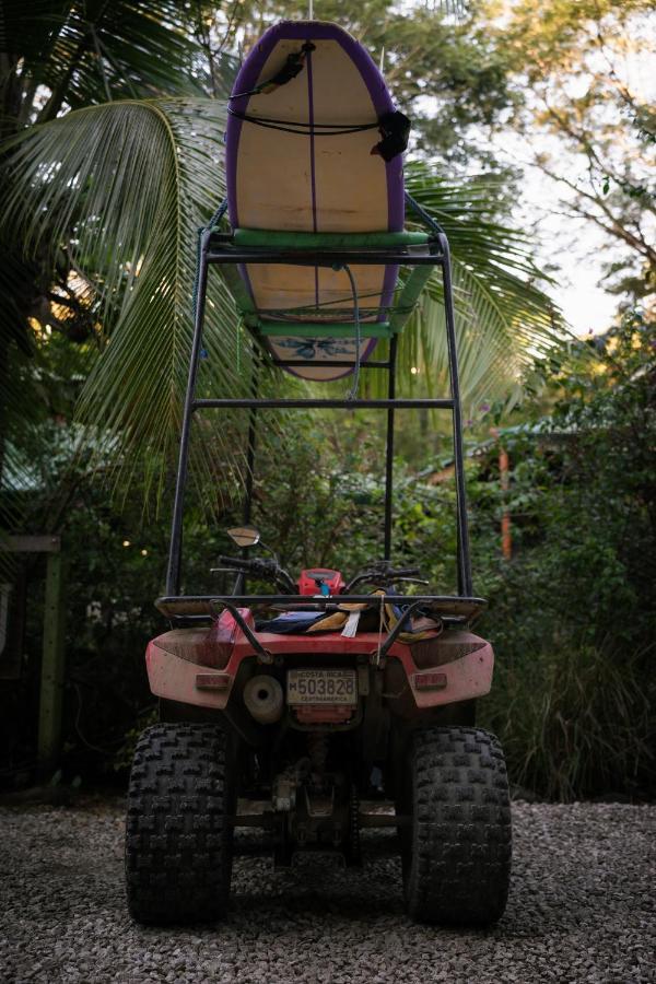 Jungle'S Edge Hotel Nosara ภายนอก รูปภาพ