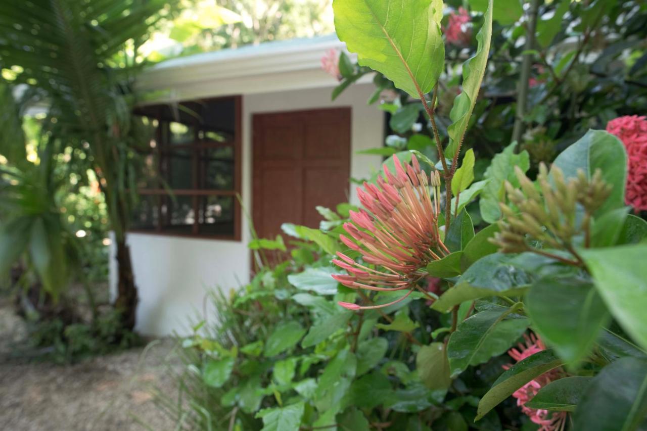 Jungle'S Edge Hotel Nosara ภายนอก รูปภาพ