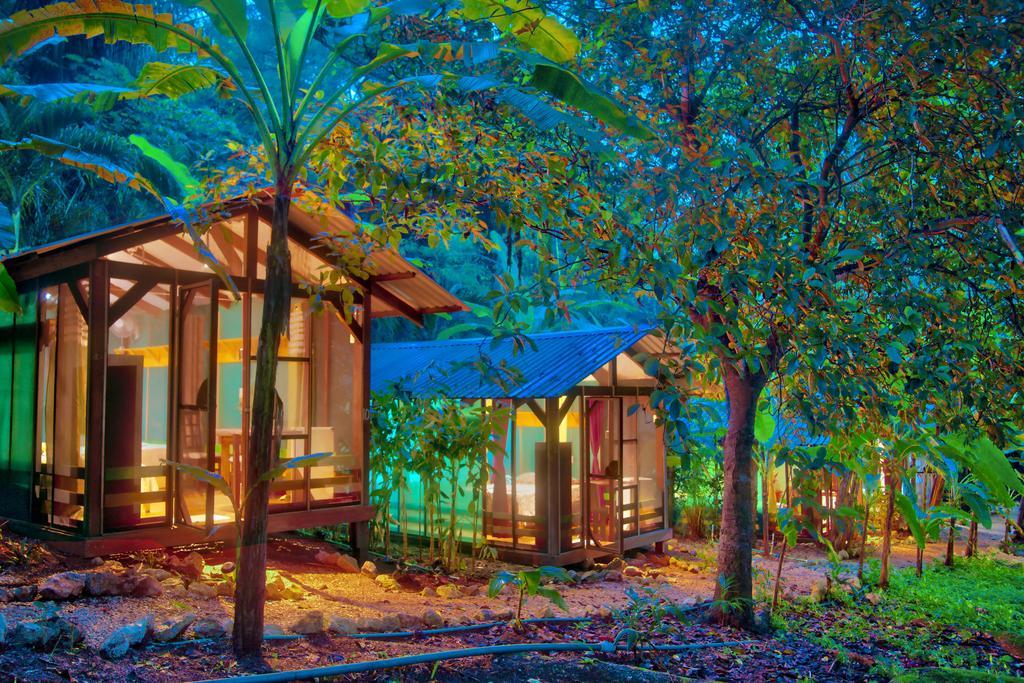 Jungle'S Edge Hotel Nosara ภายนอก รูปภาพ