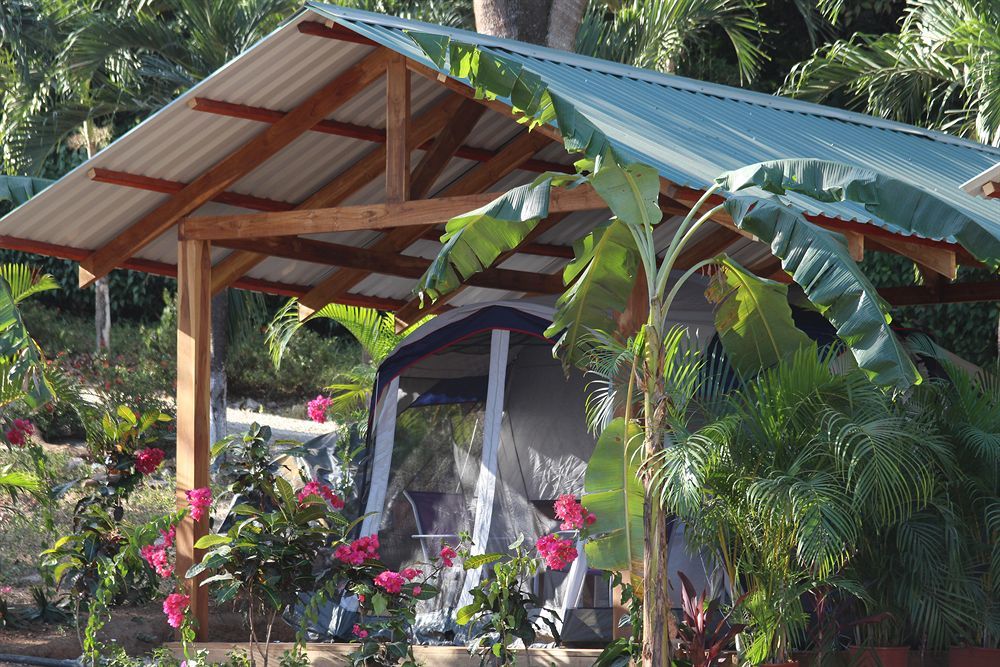 Jungle'S Edge Hotel Nosara ภายนอก รูปภาพ