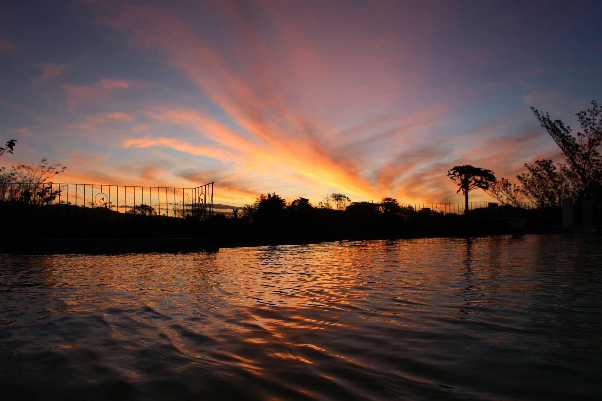 Jungle'S Edge Hotel Nosara ภายนอก รูปภาพ