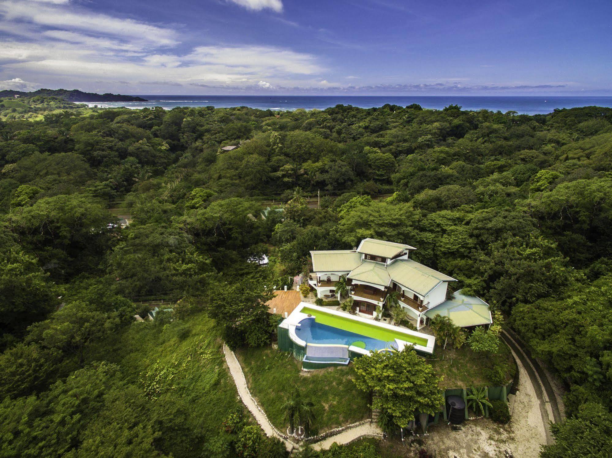 Jungle'S Edge Hotel Nosara ภายนอก รูปภาพ